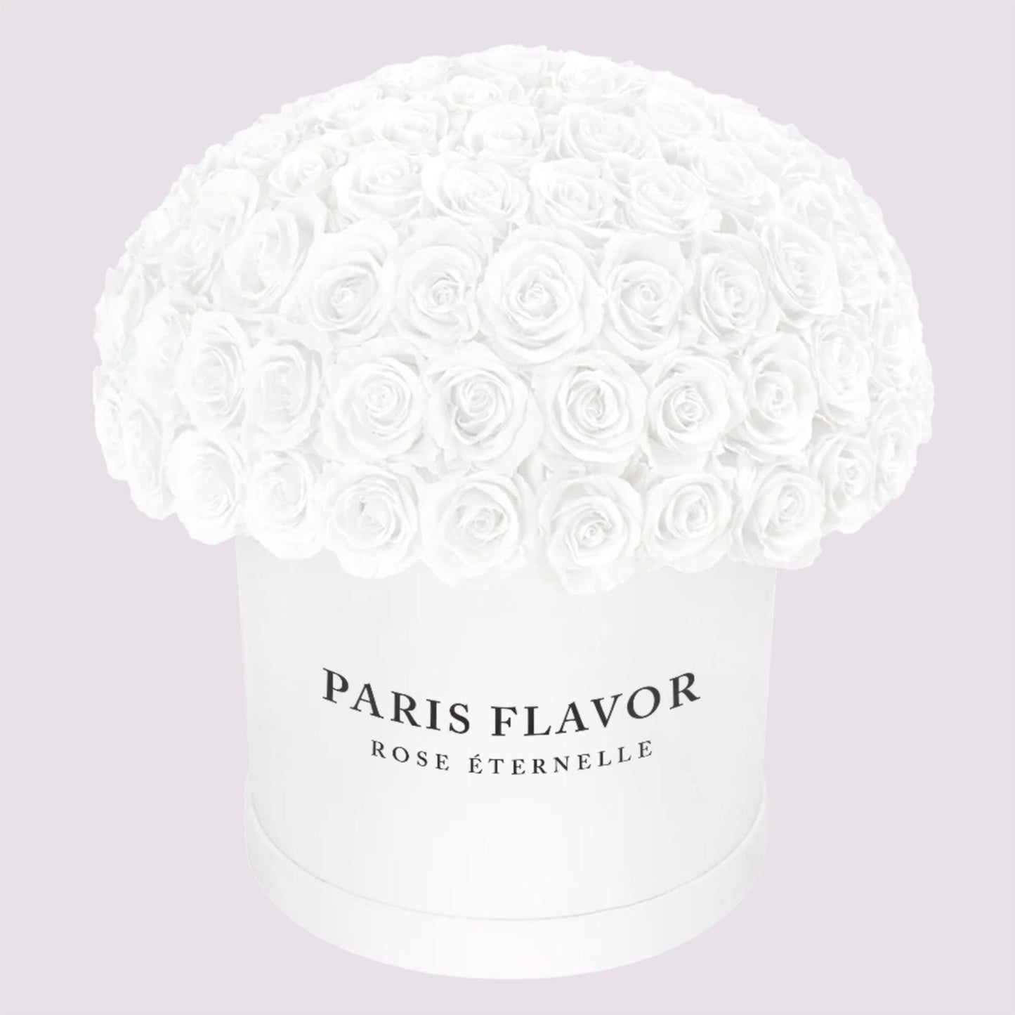 Rose Eterne Cupola Grande