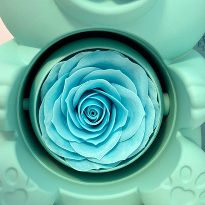 Set Regalo Orsacchiotto Con Collana Incisa e Rosa eterna