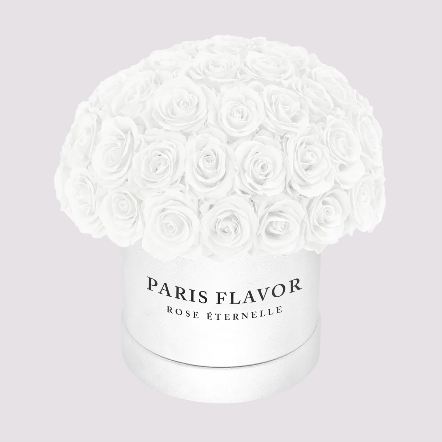 Rose Eterne Cupola Media