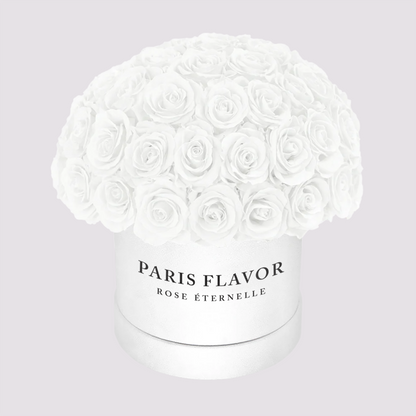 Rose Eterne Cupola Media