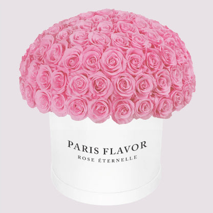 Rose Eterne Cupola Grande