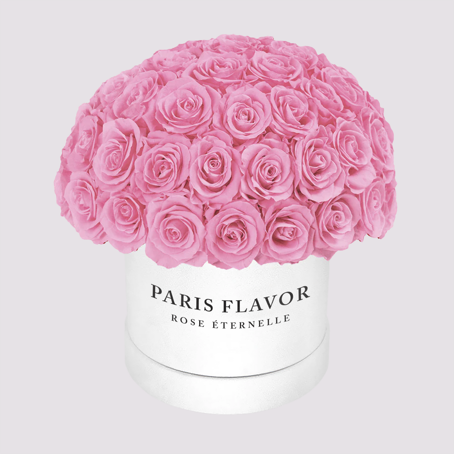 Rose Eterne Cupola Media